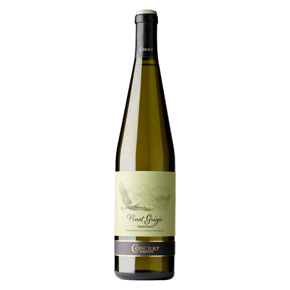 Weinvogel.ch_Pinot_Grigio_delle_Venezie_Concilio_Trentino_Weisswein