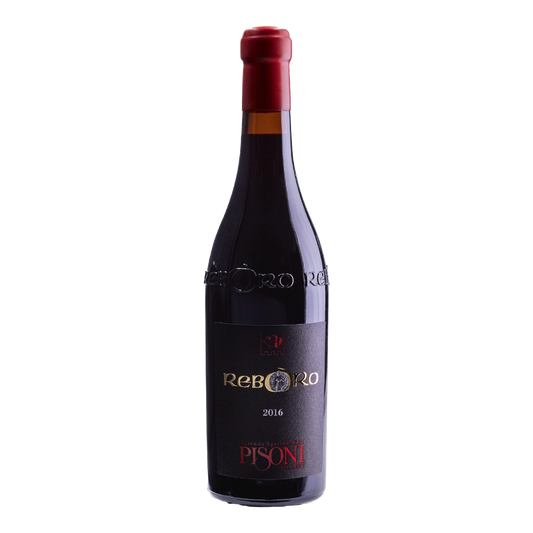 Weinvogel.ch_Reboro_Weinberg_Dolomiten_Pisoni_Suedtirol_Rotwein