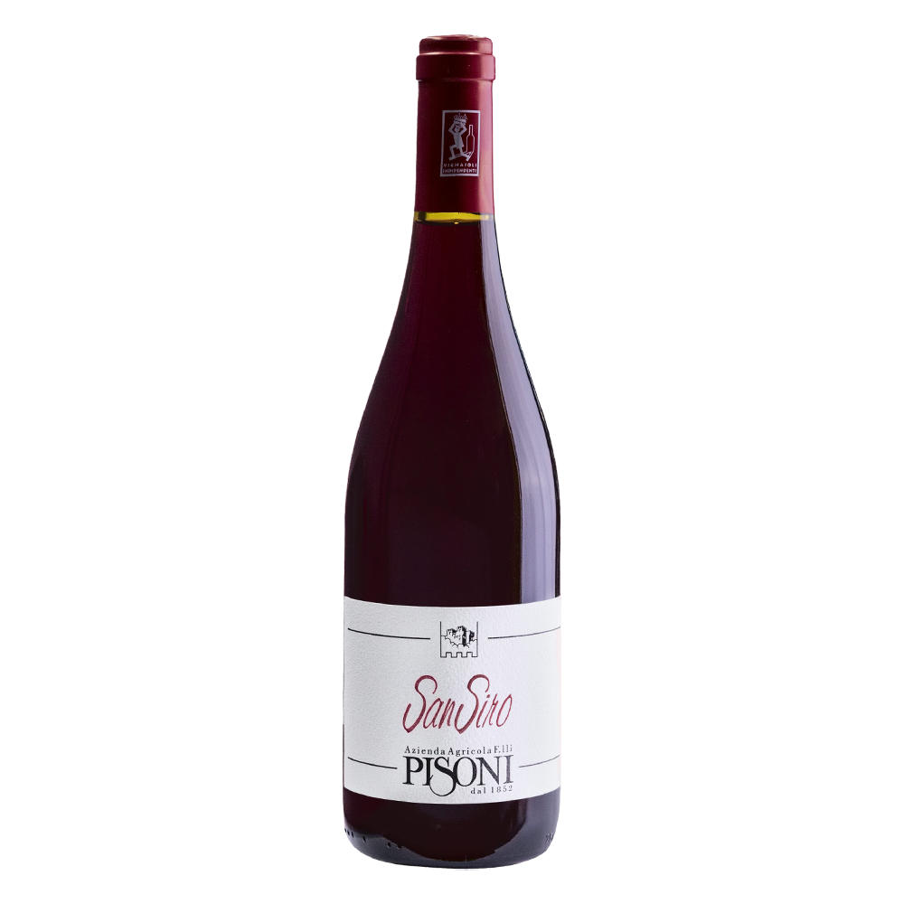 Weinvogel.ch_San_Siro_Rosso_Weinberg_Dolomiten_Pisoni_Suedtirol_Rotwein
