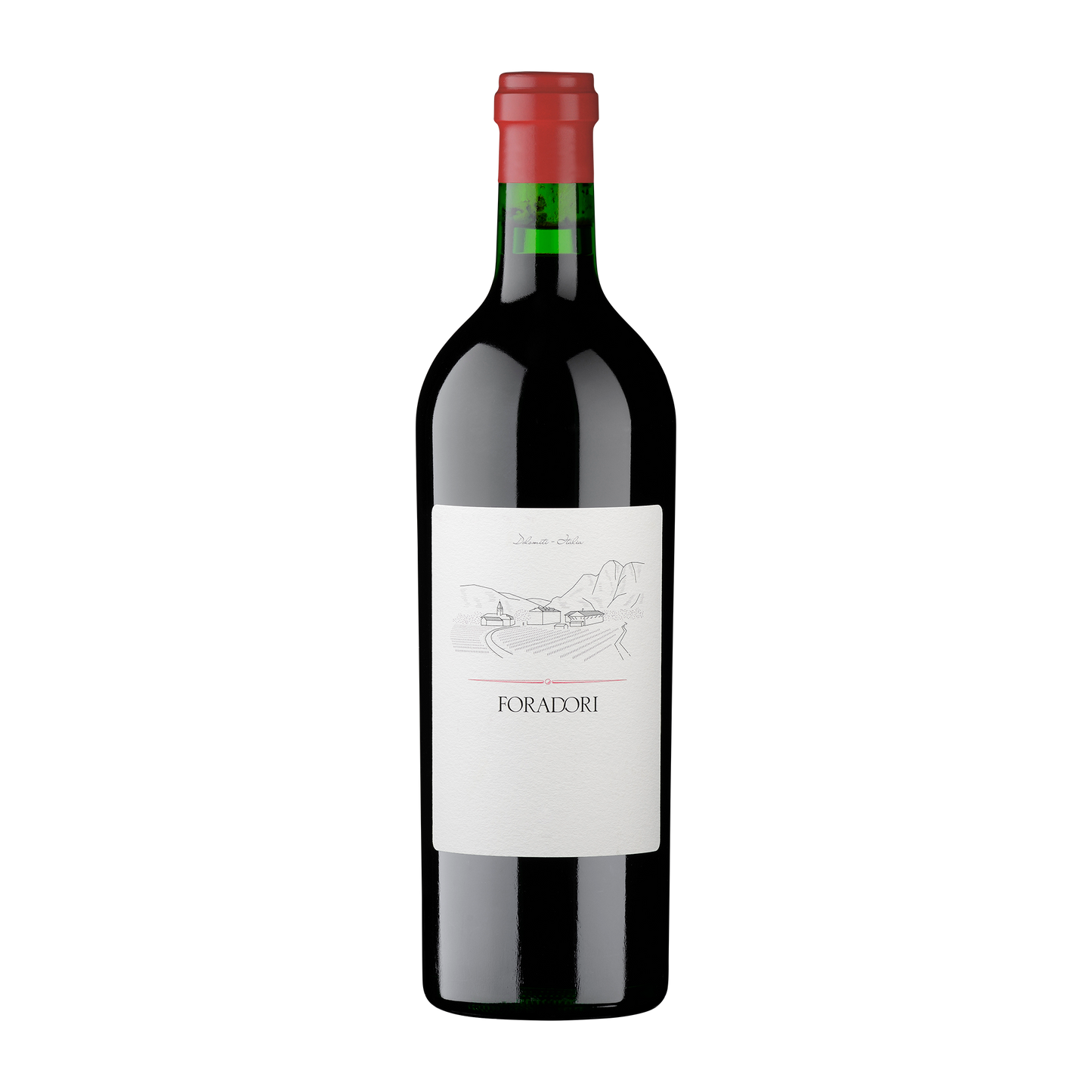 Weinvogel.ch_Teroldego_Rotaliano_Weinberg_Dolomiten_Elisabetta_Foradori_Trentino_Rotwein