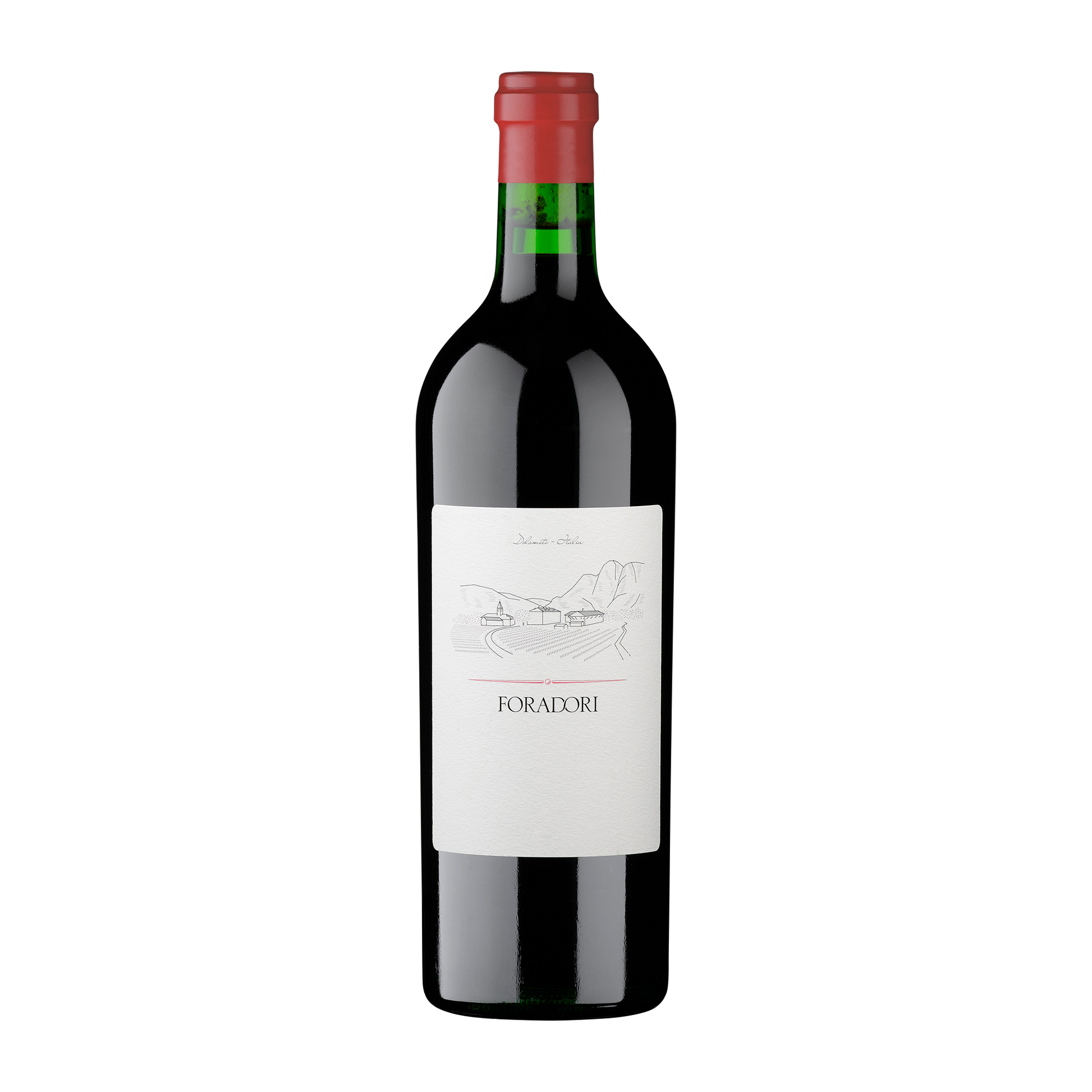 Weinvogel.ch_Teroldego_Rotaliano_Weinberg_Dolomiten_Elisabetta_Foradori_Trentino_Rotwein