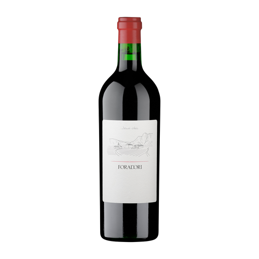 Weinvogel.ch_Teroldego_Rotaliano_Weinberg_Dolomiten_Elisabetta_Foradori_Trentino_Rotwein
