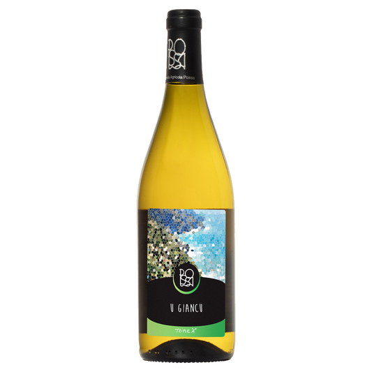 Weinvogel.ch_U_Giancu_Possa_Ligurien_Weisswein