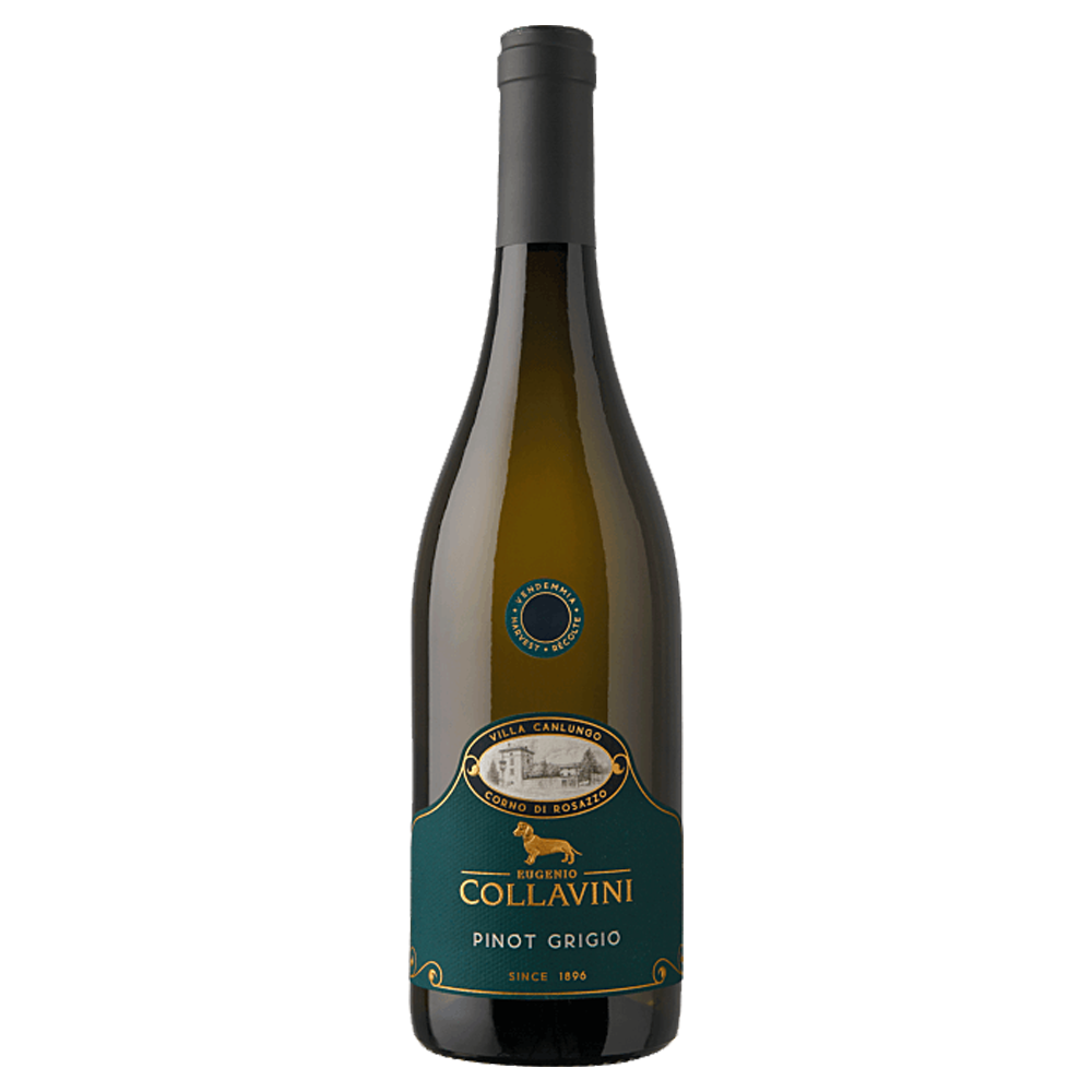 Weinvogel.ch_Villa_Canlungo_Pinot_Grigio_Collio_Eugenio_Collavini_Friaul_Julisch_Venetien_Weisswein
