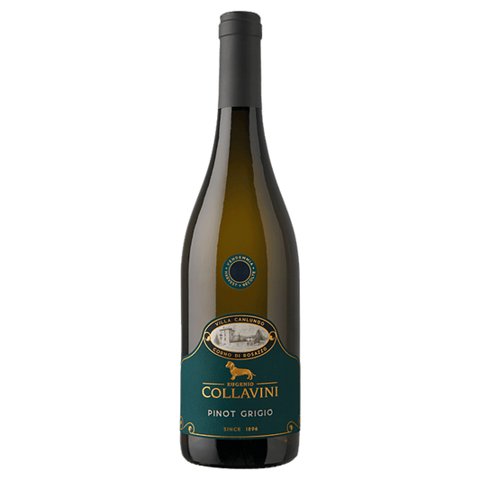 Weinvogel.ch_Villa_Canlungo_Pinot_Grigio_Collio_Eugenio_Collavini_Friaul_Julisch_Venetien_Weisswein