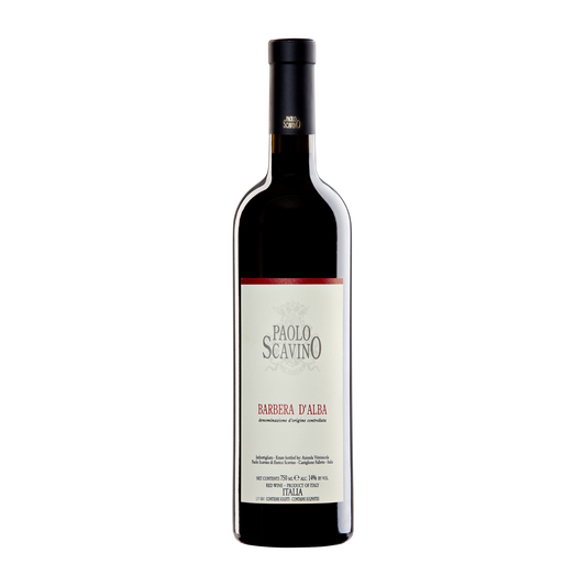 Weinvogel.ch_Barbera_d_Alba_Paolo_Scavino_Piemont_Rotwein