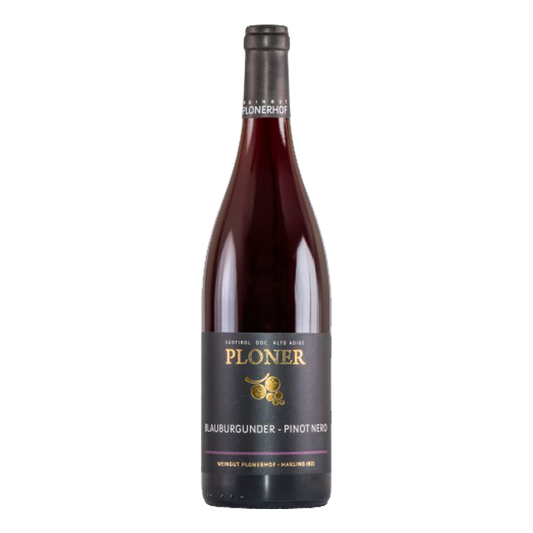 Weinvogel.ch_Blauburgunder_Plonerhof_Marling_Suedtirol_Rotwein