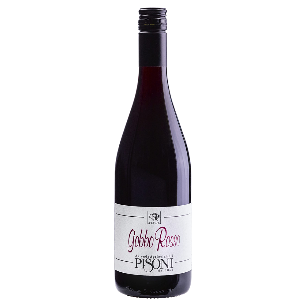 Weinvogel.ch_Gobbo_Rosso_Weinberg_Dolomiten_Pisoni_Suedtirol_Rotwein