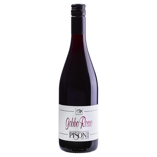 Weinvogel.ch_Gobbo_Rosso_Weinberg_Dolomiten_Pisoni_Suedtirol_Rotwein
