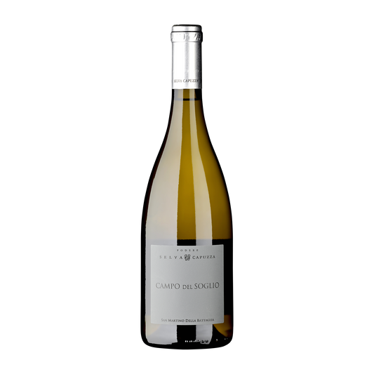 Weinvogel.ch_San_Martino_della_Battaglia_Campo_del_Soglio_Selva_Capuzza_Lombardei_Weisswein