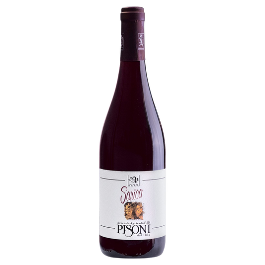 Weinvogel.ch_Sarica_Rosso_Weinberg_Dolomiten_Pisoni_Suedtirol_Rotwein